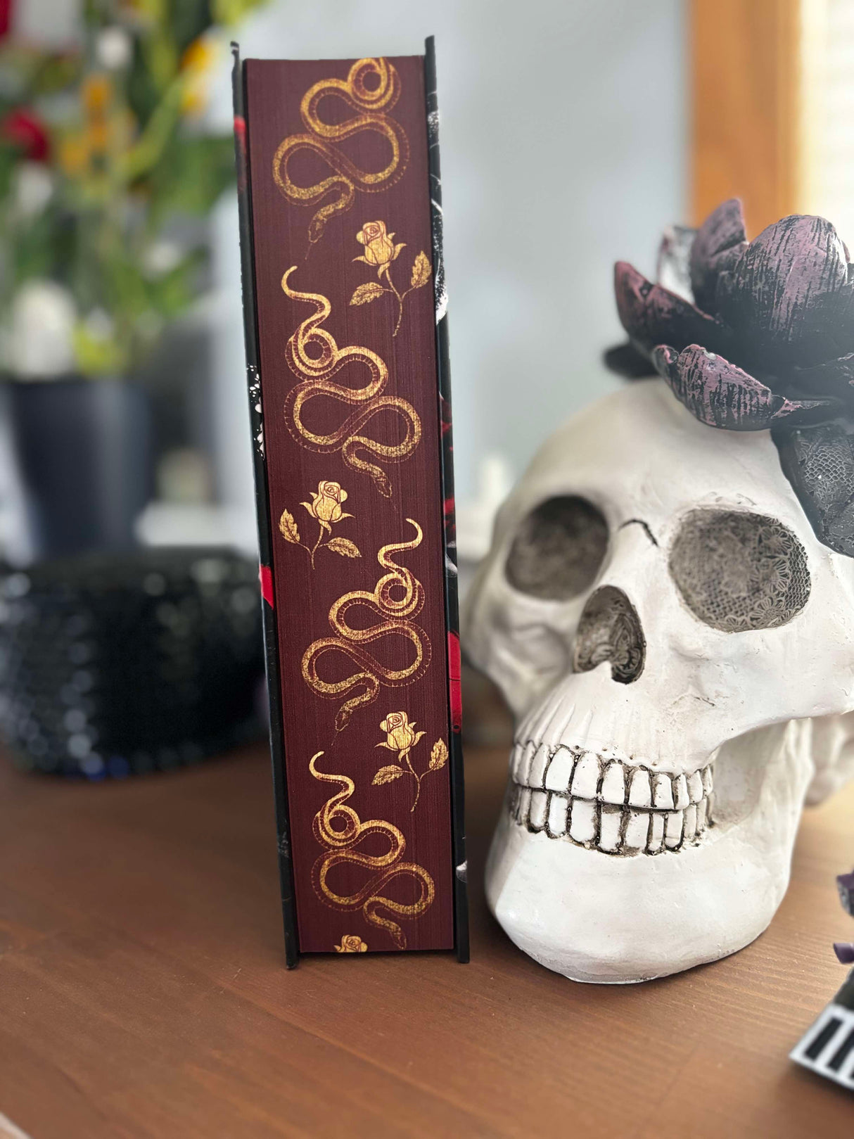 Dark Paradise: A Special Edition Dark Romance Collection
