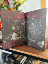 Dark Paradise: A Special Edition Dark Romance Collection